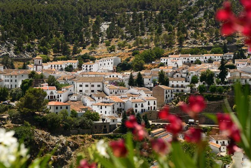 La Casa De La Abuela Regina Apartamento Grazalema Exterior foto